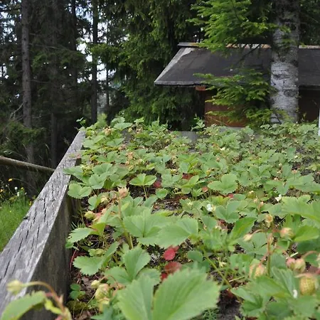 בקתה Chalet Natacha