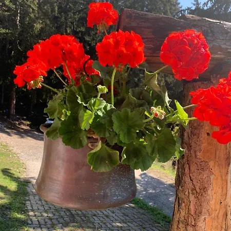בקתה Chalet Natacha *